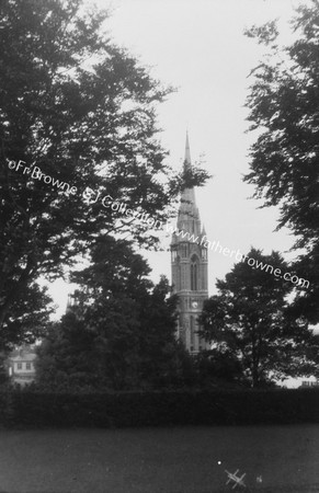 CATHEDRAL TOWER FROM CONVENT